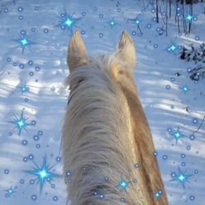 Meet your Posher, Sue